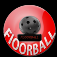 /album/fotogaleria-fotogaleria/floorbal1-png/